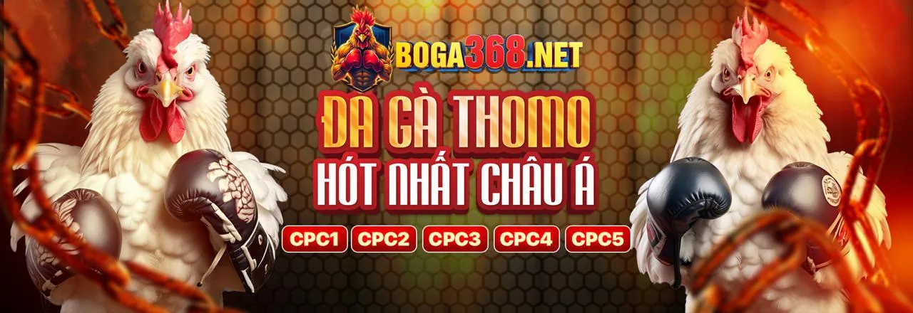 Đá Gà Trực Tuyến qh988.com